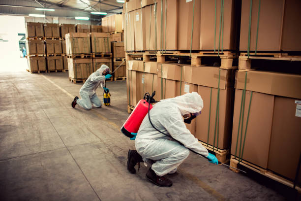 Best Mosquito Control Services  in Fort Mill, SC