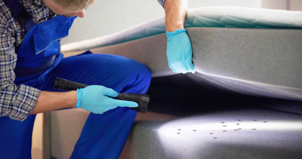 Best Pest Control Treatment  in Fort Mill, SC