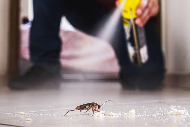 Bird Control in Fort Mill, SC