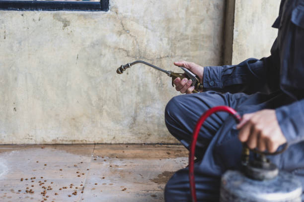 Best Pest Prevention Services  in Fort Mill, SC