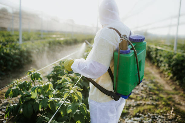 Best Wildlife Control Services  in Fort Mill, SC